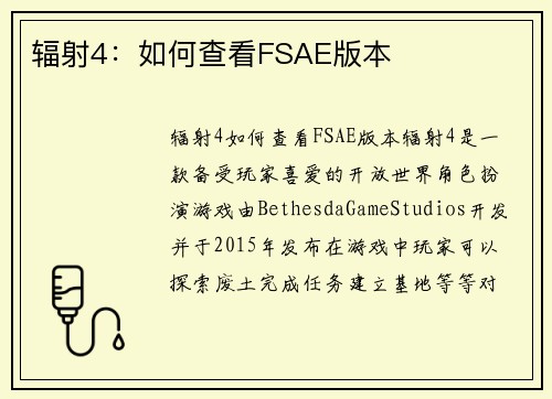 辐射4：如何查看FSAE版本